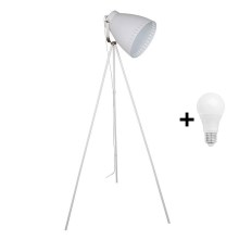 LED Állólámpa 1xE27/10W/230V fehér 145cm