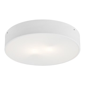 Argon 3567  - LED Mennyezeti lámpa DARLING LED/25W/230V