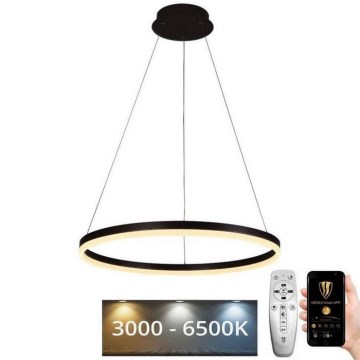 Brilagi - LED Dimmelhető csillár zsinóron CIRCLE LED/42W/230V 3000-6500K + távirányítás