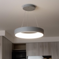 Brilagi - LED dimmelhető függeszték kábellel FALCON LED/80W/230V 3000-6500K átm. 60 cm szürke + távirányító