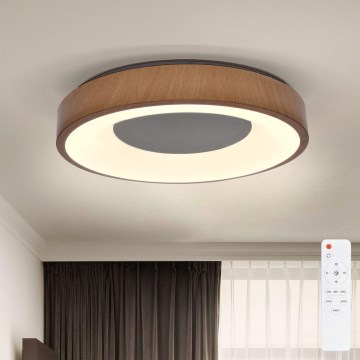 Brilagi - LED Dimmelhető mennyezeti lámpa DORIA LED/48W/230V 3000-6500K átm. 39 cm + távirányítás