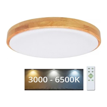 Brilagi - LED Dimmelhető mennyezeti lámpa PINE LED/24W/230V + távirányító