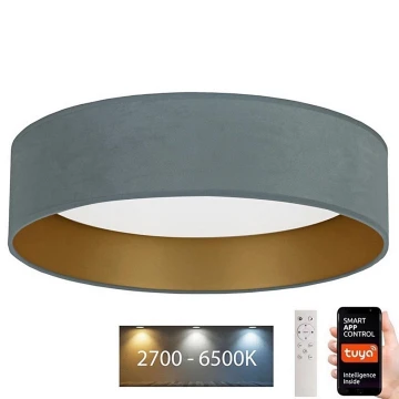 Brilagi - LED Dimmelhető mennyezeti lámpa VELVET SMART LED/24W/230V á. 45 cm 2700-6500K Wi-Fi Tuya menta/arany + távirányító