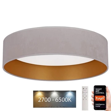 Brilagi - LED Dimmelhető mennyezeti lámpa VELVET SMART LED/24W/230V á. 45 cm 2700-6500K Wi-Fi Tuya + távirányító