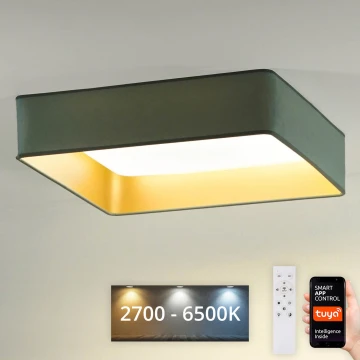 Brilagi - LED Dimmelhető mennyezeti lámpa VELVET SQUARE SMART LED/36W/230V 2700-6500K Wi-Fi Tuya + távirányítás menta