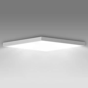 Brilagi - LED Fürdőszobai mennyezeti lámpa FRAME LED/40W/230V 60x60 cm IP44 fehér