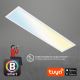 Brilo - LED Dimmelhető mennyezeti lámpa PIATTO LED/28W/230V 3000-6500K Wi-Fi Tuya + távirányítás