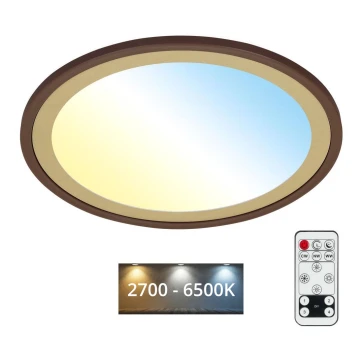 Brilo - LED Dimmelhető mennyezeti lámpa SLIM LED/22W/230V 2700-6500K + távirányítás