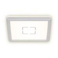 Briloner 3174-014 - LED Mennyezeti lámpa FREE LED/12W/230V 19x19 cm