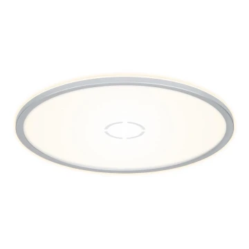 Briloner 3392-014 - LED Mennyezeti lámpa FREE LED/22W/230V á. 42 cm