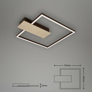 Briloner 3544-017 - LED Dimmelhető mennyezeti lámpa NICO LED/12W/230V