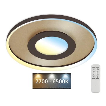 Briloner 3640017 - LED Dimmelhető mennyezeti lámpa FRAME LED/25W/230V 2700-6500K + távirányítás