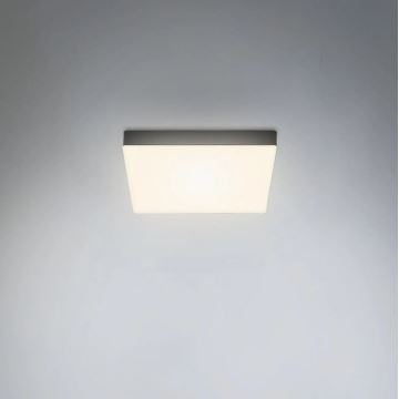 Briloner 7070-015 - LED Mennyezeti lámpa FLAME LED/16W/230V fekete