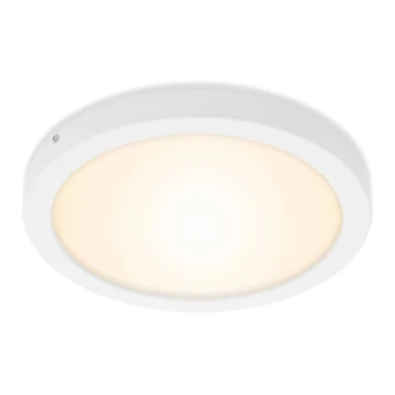 Briloner 7141-016 - LED Mennyezeti lámpa FIRE LED/21W/230V