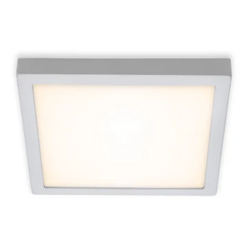 Briloner 7142-014 - LED Mennyezeti lámpa FIRE LED/21W/230V 3000K