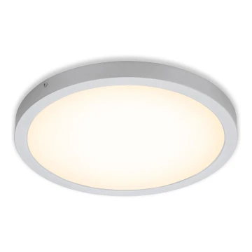 Briloner 7143-014 - LED Mennyezeti lámpa FIRE LED/24,5W/230V 3000K