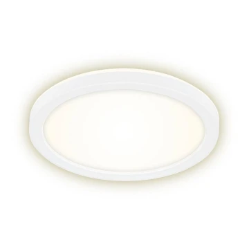 Briloner 7150-416 - LED Mennyezeti lámpa SLIM LED/12W/230V á. 19 cm