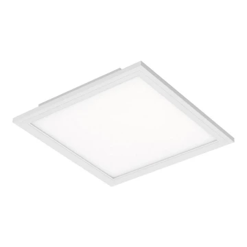 Briloner 7191-016 - LED Mennyezeti lámpa SIMPLE LED/12W/230V