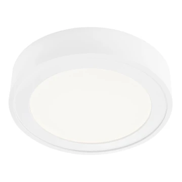 Briloner 7290-016 - LED Mennyezeti lámpa UP LED/12W/230V fehér