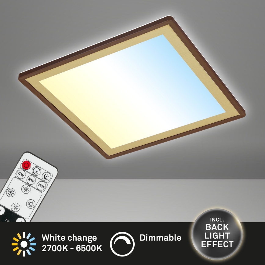 Briloner 7459-417 - LED Dimmelhető mennyezeti lámpa DECO LED/24W/230V 2700-6500K + távirányítás