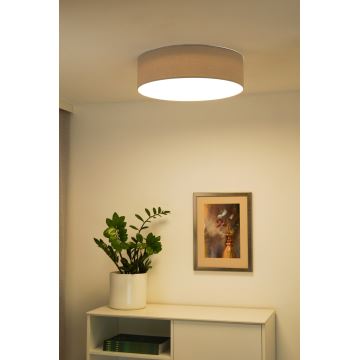 Duolla - LED Mennyezeti lámpa CORTINA LED/26W/230V átm. 30 cm szürke