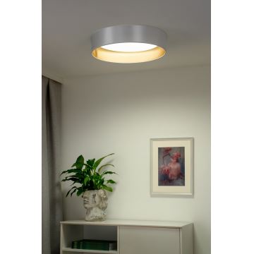 Duolla - LED Mennyezeti lámpa ROLLER LED/24W/230V ezüst/arany