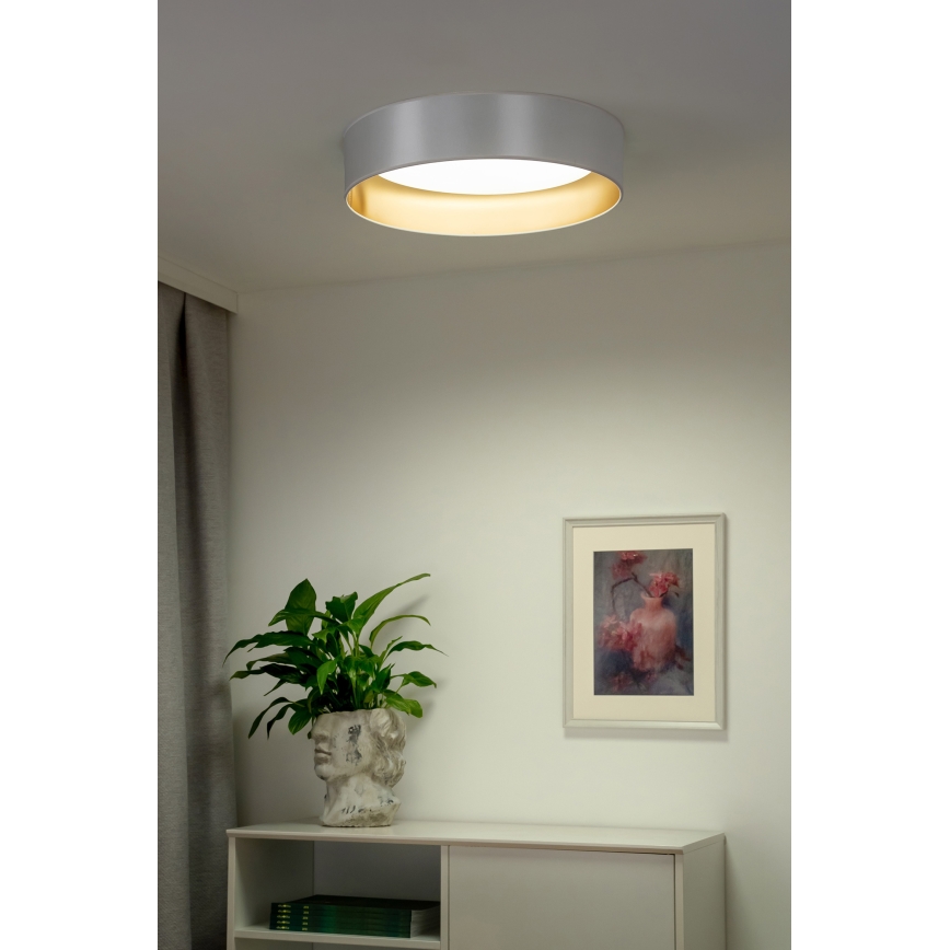 Duolla - LED Mennyezeti lámpa ROLLER LED/24W/230V ezüst/arany