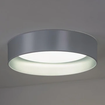 Duolla - LED Mennyezeti lámpa ROLLER LED/24W/230V ezüst