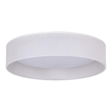 Duolla - LED Mennyezeti lámpa ROLLER LED/24W/230V fehér