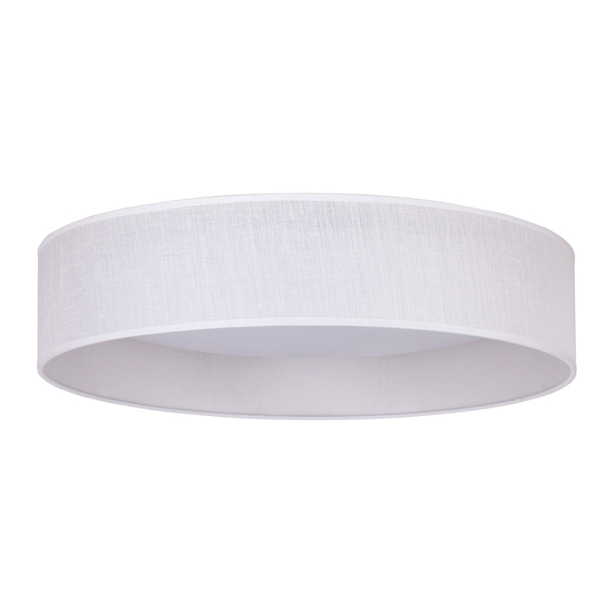 Duolla - LED Mennyezeti lámpa ROLLER LED/24W/230V fehér