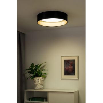 Duolla - LED Mennyezeti lámpa ROLLER LED/24W/230V fekete/arany