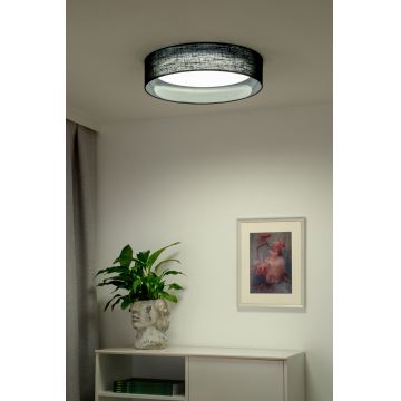 Duolla - LED Mennyezeti lámpa ROLLER LED/24W/230V fekete