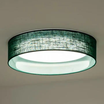 Duolla - LED Mennyezeti lámpa ROLLER LED/24W/230V zöld