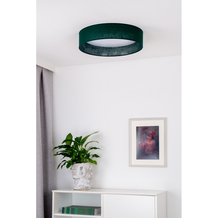 Duolla - LED Mennyezeti lámpa ROLLER LED/24W/230V zöld