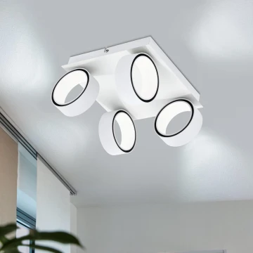 Eglo 39587 - LED Spotlámpa ALBARIZA 4xLED/4,6W/230V