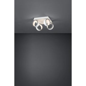 Eglo 39587 - LED Spotlámpa ALBARIZA 4xLED/4,6W/230V