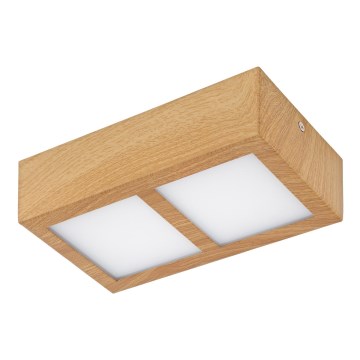 Eglo 95196 - LED Mennyezeti lámpa COLEGIO 2xLED/4,2W/230V