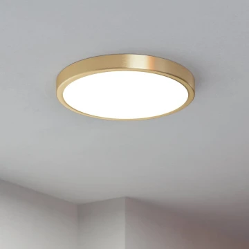 Eglo - LED Mennyezeti lámpa LED/20,5W/230V á. 28,5 cm