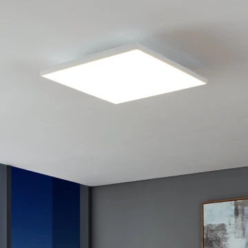 Eglo - LED Mennyezeti lámpa LED/21W/230V