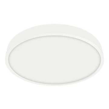 Emithor 49035 - LED Fürdőszobai mennyezeti lámpa LENYS LED/12W/230V IP44