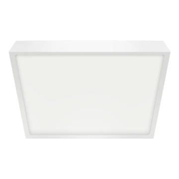 Emithor 49041 - LED Fürdőszobai mennyezeti lámpa LENYS LED/24W/230V 240 mm IP44