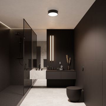 Fürdőszobai mennyezeti lámpa CLEO 2xE27/24W/230V á. 30 cm fekete IP54