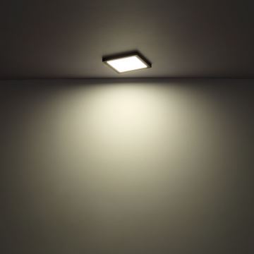 Globo - LED Mennyezeti lámpa LED/24W/230V 3000/4000/6500K fehér