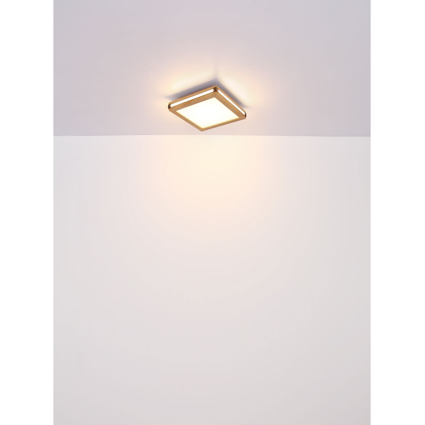 Globo - LED Mennyezeti lámpa LED/12W/230V 30x30 cm