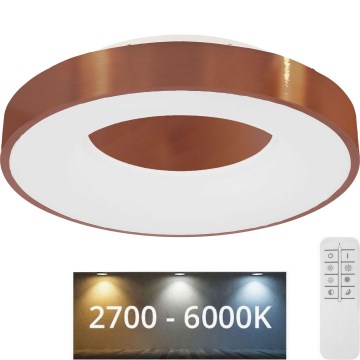 Globo - LED Dimmelhető mennyezeti lámpa LED/30W/230V 2700-6000K + távirányítás