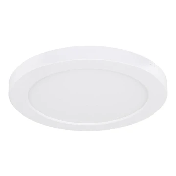 Globo - LED Mennyezeti lámpa LED/18W/230V 3000/4000/6500K fehér