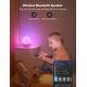 Govee - RGBIC Night Smart LED lámpa hangszóróval Wi-Fi