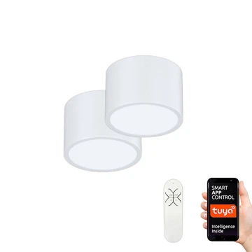 Immax Neo 07024L-15BD - Készlet 2x LED Dimmelhető mennyezeti lámpa RONDATE fehér 2xLED/12W/230V + távirányítás Tuya