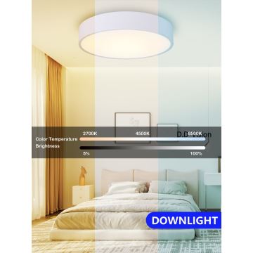 Immax NEO 07205L - LED Dimmelhető mennyezeti lámpa RONDATE LED/28W/230V fehér Tuya + távirányítás