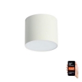 Immax NEO 07243L - LED Dimmelhető mennyezeti lámpa RONDATE LED/32W/230V 16,5 cm Wi-Fi Tuya